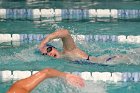 Swimming vs Babson  Wheaton College Swimming vs Babson College. - Photo By: KEITH NORDSTROM : Wheaton, Swimming, Babson